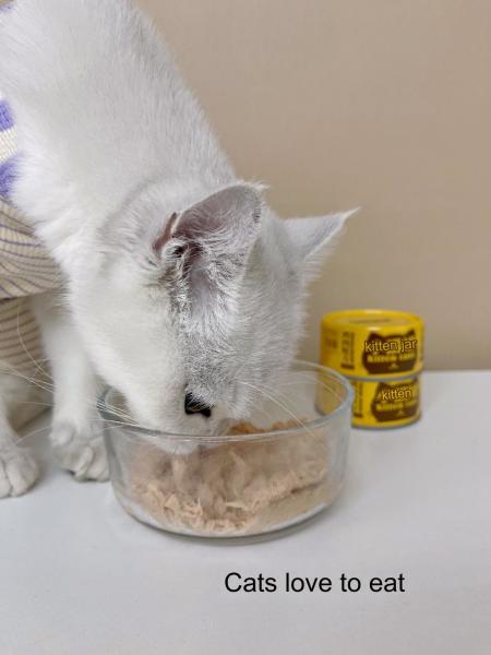 Clean and Sanitary Healthy Pet Food Mix with Pet Food Made In Good Palatability Guaranteed