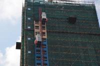 Grua vertical 1600kg da construção civil de Transportion 300m