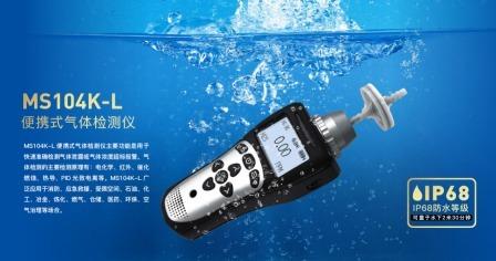 IP68 Protection Portable Gas Detector with Built-in Pump Suction and 8 Key-button Operation for Single Gas Leak Detection