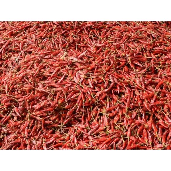 Сортировщица цвета пояса Chili горячего перца с камерой RGB