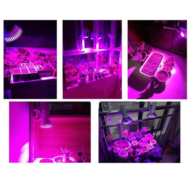 Greenhouse Full Spectrum LED Grow Lights 78 Red 24 Blue For Hydroponics Plant Seeding