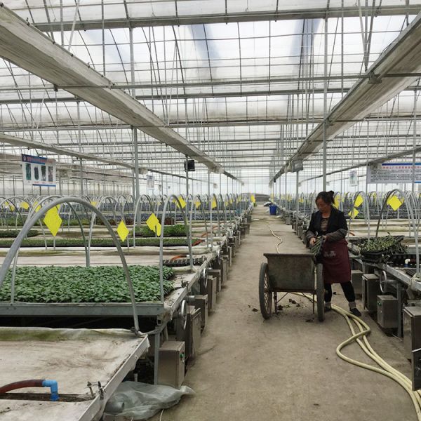 Полиэтиленовая пленка Hydroponic растущего парника пяди системы Multi затеняя сеть
