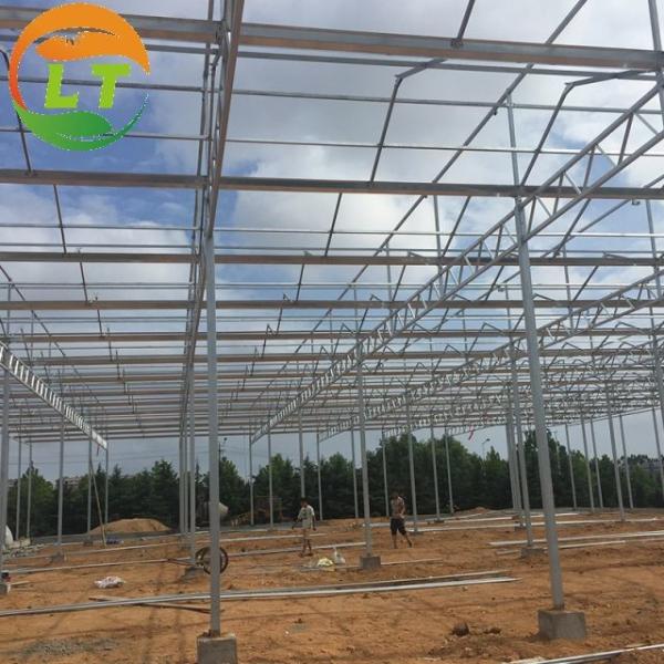 Estufas de vidro de três camadas de alto rendimento para o crescimento óptimo das plantas e para a cultivação de vegetais