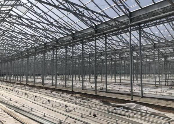 Green Plant Garden Tempered Glass Greenhouse For Large Ornamental Flowers