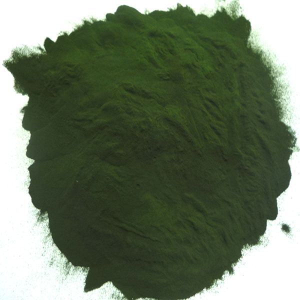 High quality Organic  Heterotrophic Chlorella powder