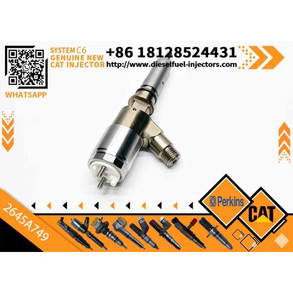 New Caterpillar C4.4/C6.6 Diesel Engine Injector 2645A751 320-0677 2645A746 320-0690 2645A749 320-0680 Common Rail Injector