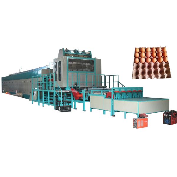 Fully Automatic Pulp Molding Production Line Bagasse Lunch Box Tableware Machine