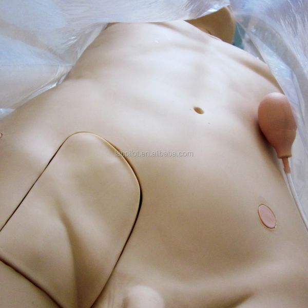 Advanced PVC Torso Model for Central Venous Injection and Puncture Skill Development