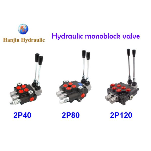 P120 A1 GKZ1 2 Spool Section 2p120 Hydraulic Monoblock Valve Spring Return