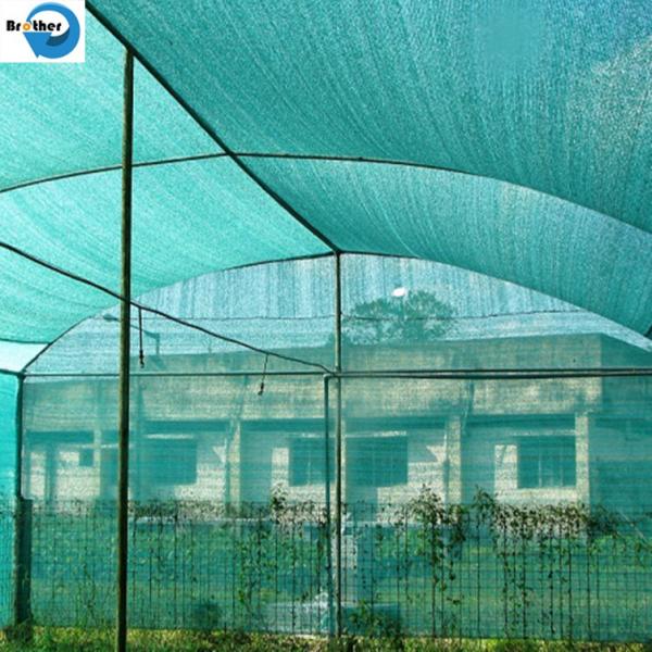 High Quality Different Color 100% HDPE Plastic Waterproof Greenhouse/Agriculture Shading Rate 60% Shade Net
