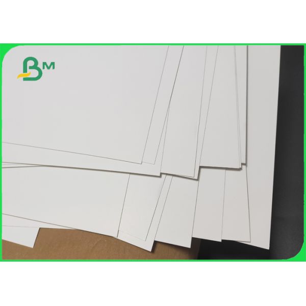 1 side coated food board 1 Side Coated 350gsm Renewable Food Service Paperboards Sandwiches Board
