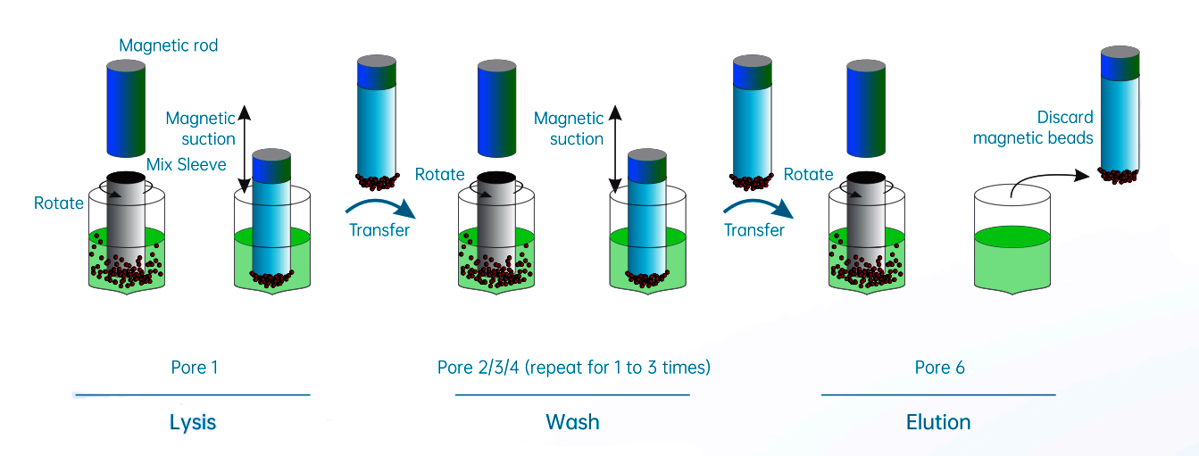 Метод шарика тестов набора 48 изоляции Рибонуклеиновой кислоты Renji вирусный нуклеиновый кисловочный магнитный