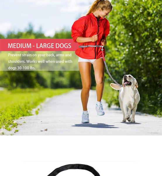 Adjustable Hands-Free Pet Dog Running Leashes Custom Logo Long Waist Double Nylon Rope
