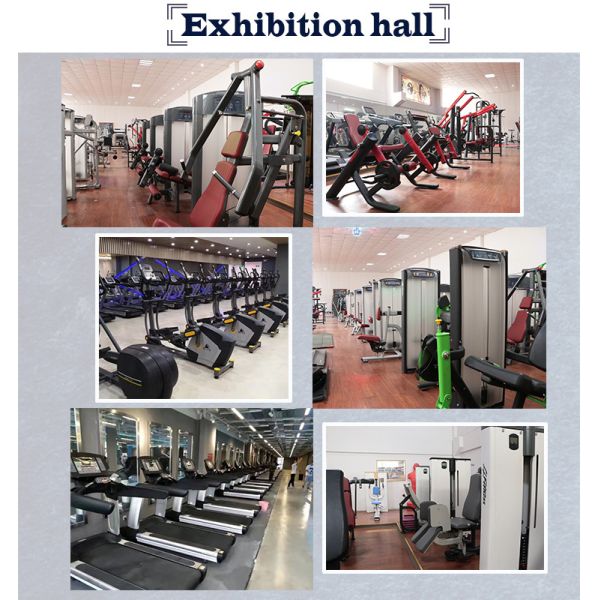 Система электромагнитного воздействия Рекумбент велосипеда спортзала железного каркаса самопроизвольно