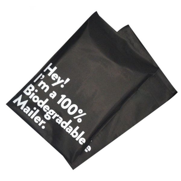 Custom Eco Friendly PLA Corn Starch Biodegradable Packaging Bags With Zip Lock