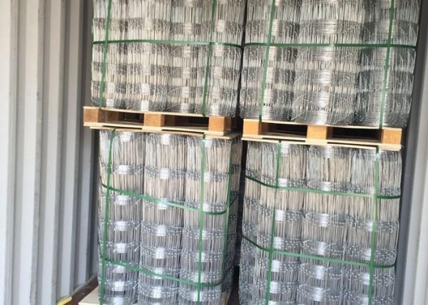 Hot Dipped Galvanized Field Fence , Hinge Joint Wire Fencing Bright Color