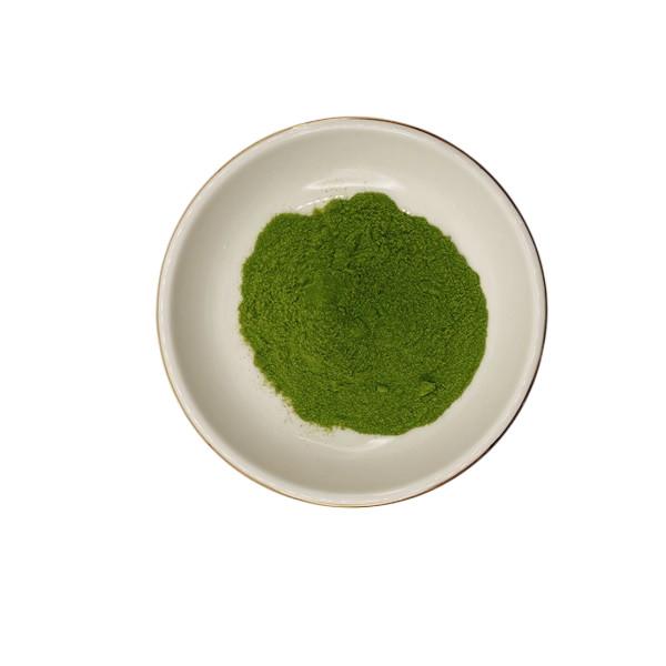 68917-51-1 Green Powdered Seaweed Extract Seaweed Polysaccharides 40%