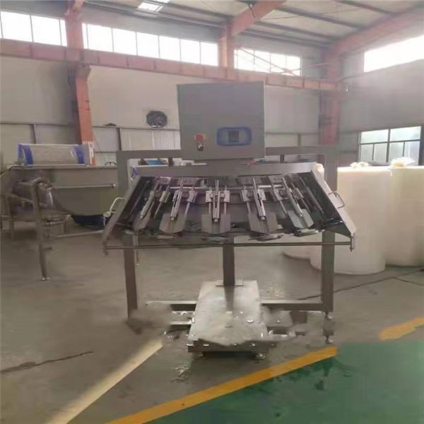 Automatic Poultry Slaughterhouse Equipment Motor High Efficiency