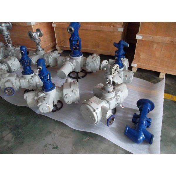 BW Конец кованого стального клапана