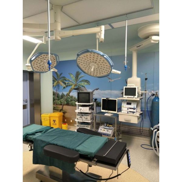 Операционной потолка ISO CE рука медицинской привесная одиночная