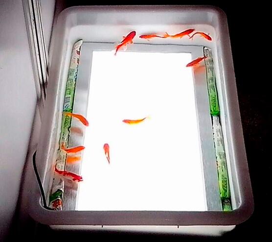 300mm*300mm led aluminium outdoor waterproof panel lamp