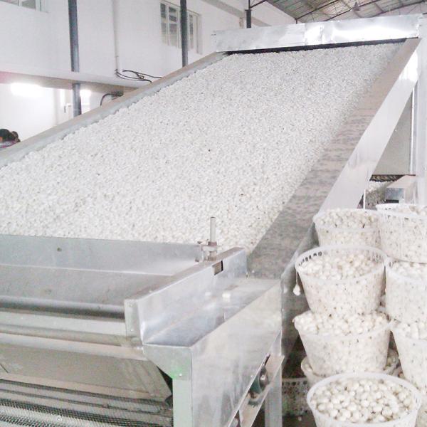 Rustproof Industrial Belt Dryer Feed Scented Tea Drying Machine 4 To 8layer