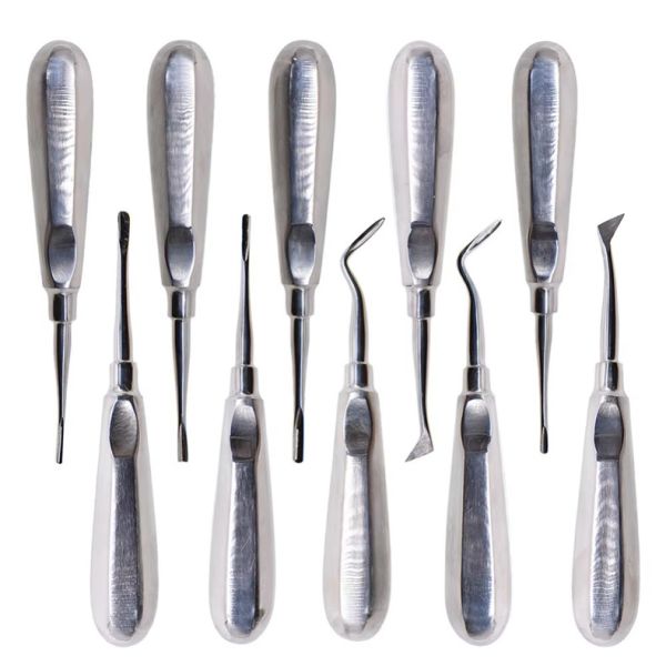10pcs Dental Elevator Kit Dentist Surgical Tools Stainless Steel Dental Root Elevator