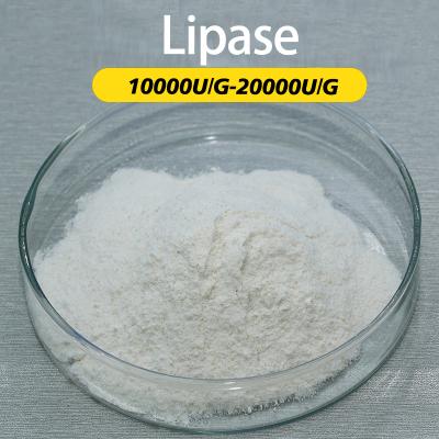 Enzyme qui décompose les acides gras 20000U/G Lipase pour la cuisson