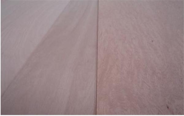 Furniture Making Wear Resistant 5mm Bintangor Plywood