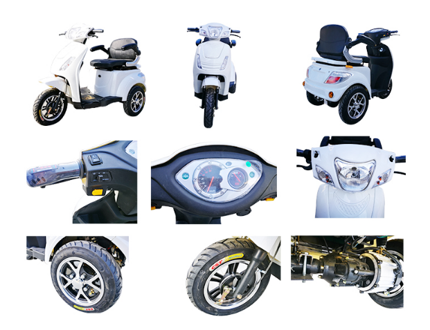 Самокат подвижности Трике физически брошенный вызов Трике велосипеда самоката подвижности колеса взрослого 3 электрический