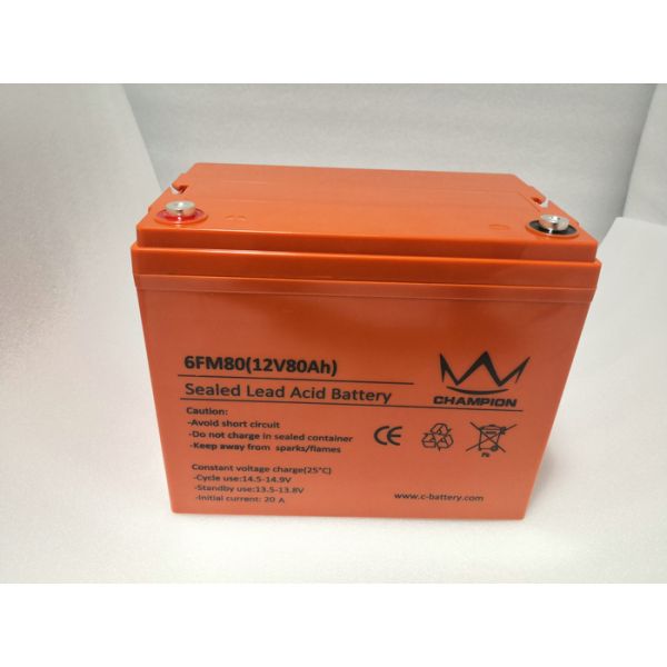 Black Agm Or Gel Deep Cycle Inverter Batteries For Banks & Financial Centre