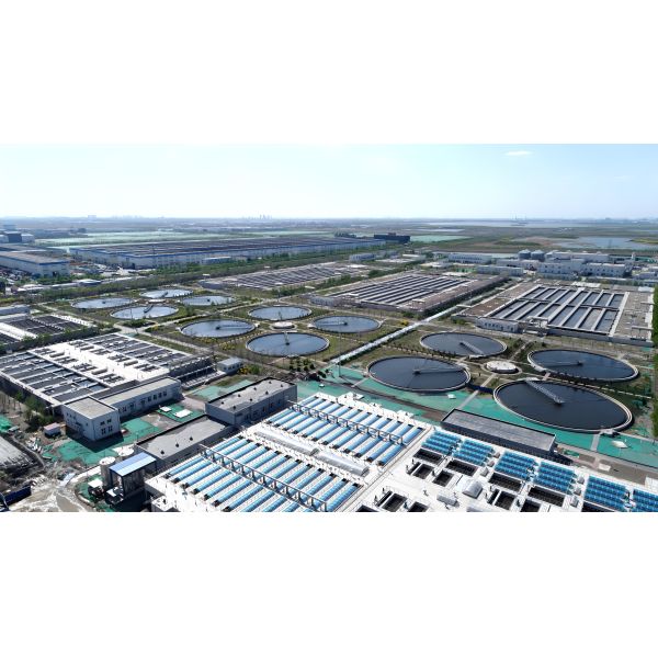 High Technology Roots Blower For Wastewater Treatment Plant Paper Mill Factory