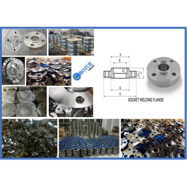 RTJ Socket Weld Pipe Flanges , Class 150 Forged Stainless Steel Flanges F53 F51 F60