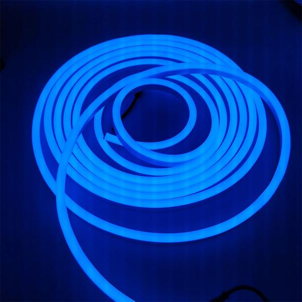 Luz subaquática conduzida impermeável Smd2835 de 12W/M Ip 68 para associações