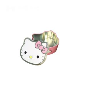 Recipientes especiais vazios de Tin Can Tinplate Tin Storage do metal da forma com tampa