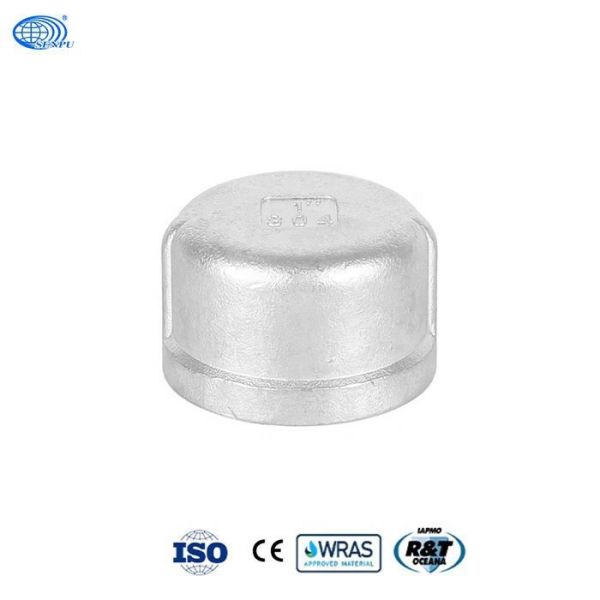 Stainless Steel Thread End Cap