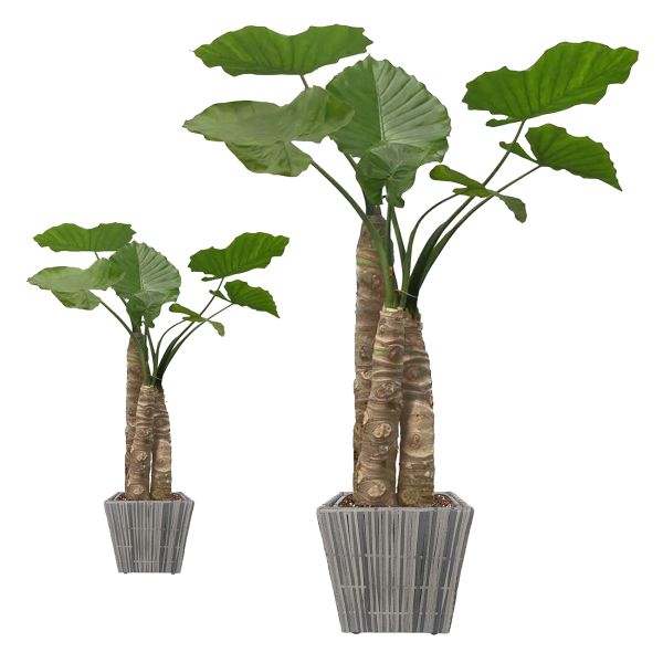 Handmade Square Shape Metal Frame Wicker Flower Pot with Plastic Original Green OEM Customized Style