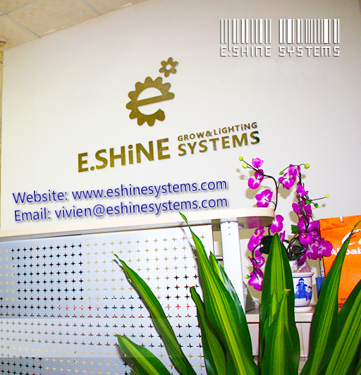 E.shine Systems Limited 