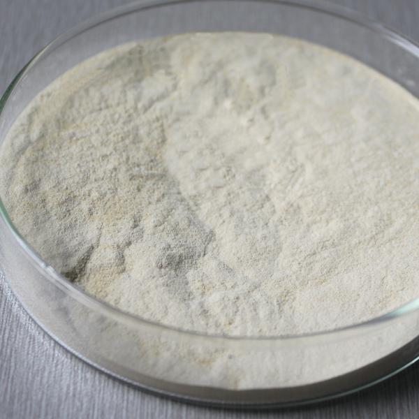 protease bromelain 600GDU-2400GDU Protease manufacturers, fully soluble in water, customized food grade&pharmaceutical grade