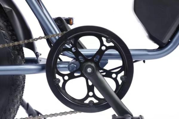Full Suspension 48V Fat Tire Electric Bike 750W With LCD Display And Rear Hub Motor