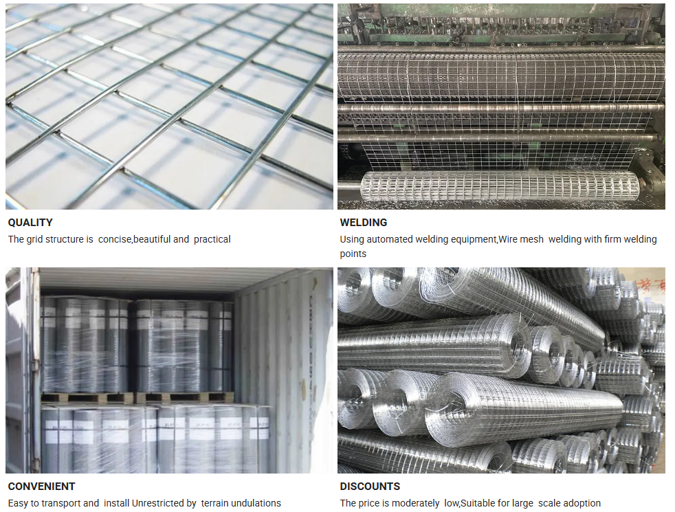 Welded Wire Mesh Low Carbon Steel Iron PVC Coated Hot Dipped Galvanized