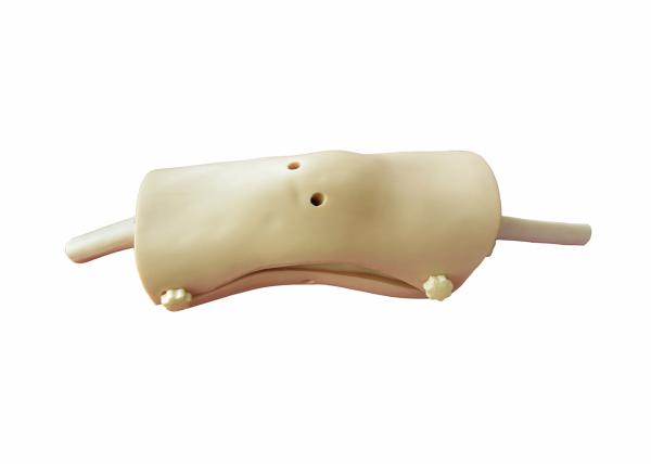 Knee Arthroscopy Clinical Simulations for Nursing Education , Hospital Simulator