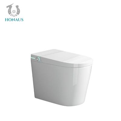 Auto Sensor Smart Intelligent Toilet Multifunctional Electric Water Closet