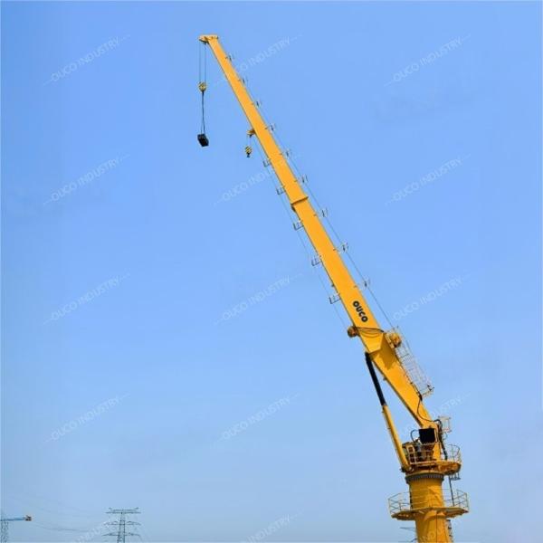 5T40M Fixed Boom Shipyard Crane