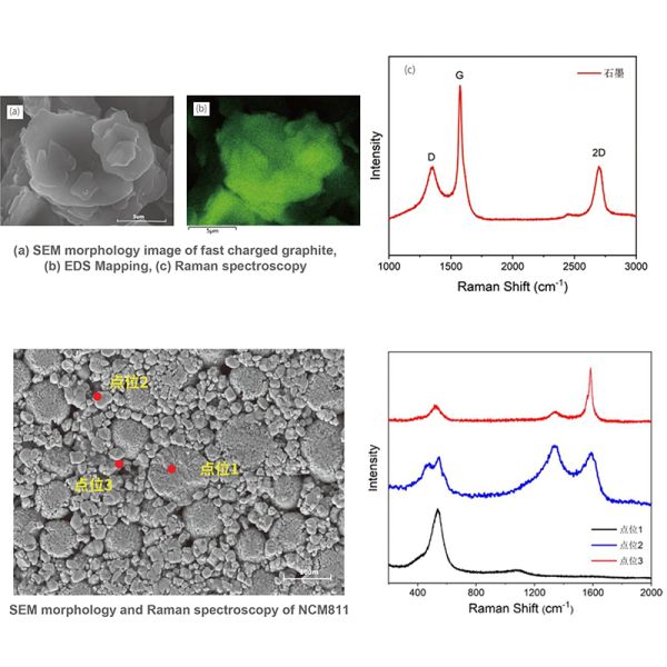Opto Edu A63.7140A63.7160 2000000x Microscópio Eletrônico de Escaneamento de Emissão de Campo Schottky