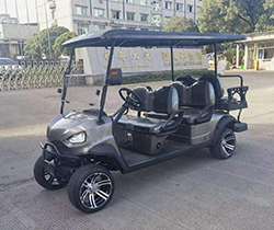 20-25° Grade Ability Electric Golf Carts Club Car and Golf Trolley