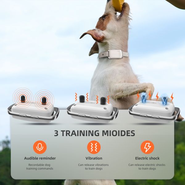 Waterproof IP67 Rechargeable Eco-Friendly Nylon Fashion Plastic 1000m Remote Control Dog Training Collar Shock-Free Vibration