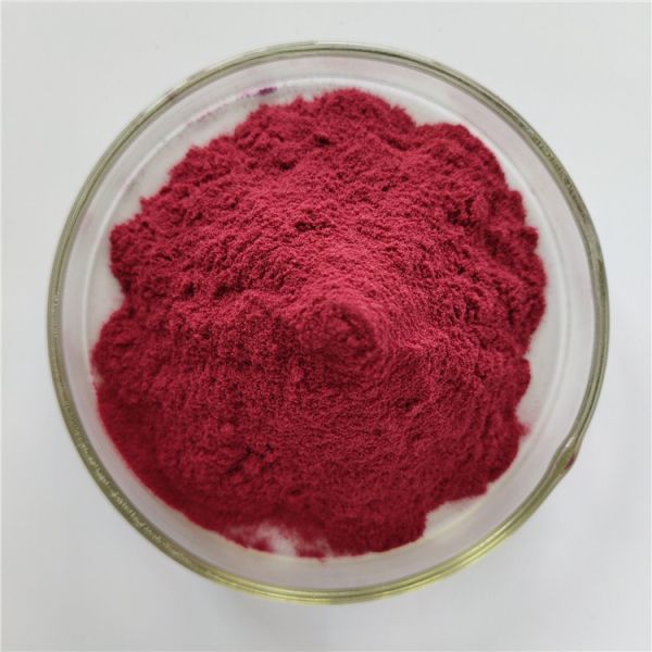 Wholesale Elderberry Powder For Instant Tea Powder