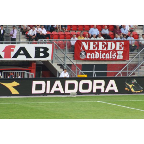 Напольный периметр P16 вел дисплей для стадиона, футбол 2R1G1B