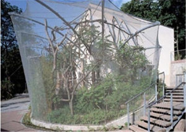 Knotted Stainless Steel Cable Trellis , Cable Wire Mesh For Green Wall